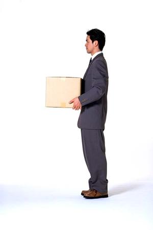 2025年最新！お米通販で選ぶべきポイントとおすすめベスト10