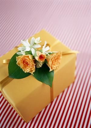 包装に最適なOPP袋を買うなら